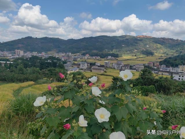 永定奥杳梯田穿越九十九岽徒步
