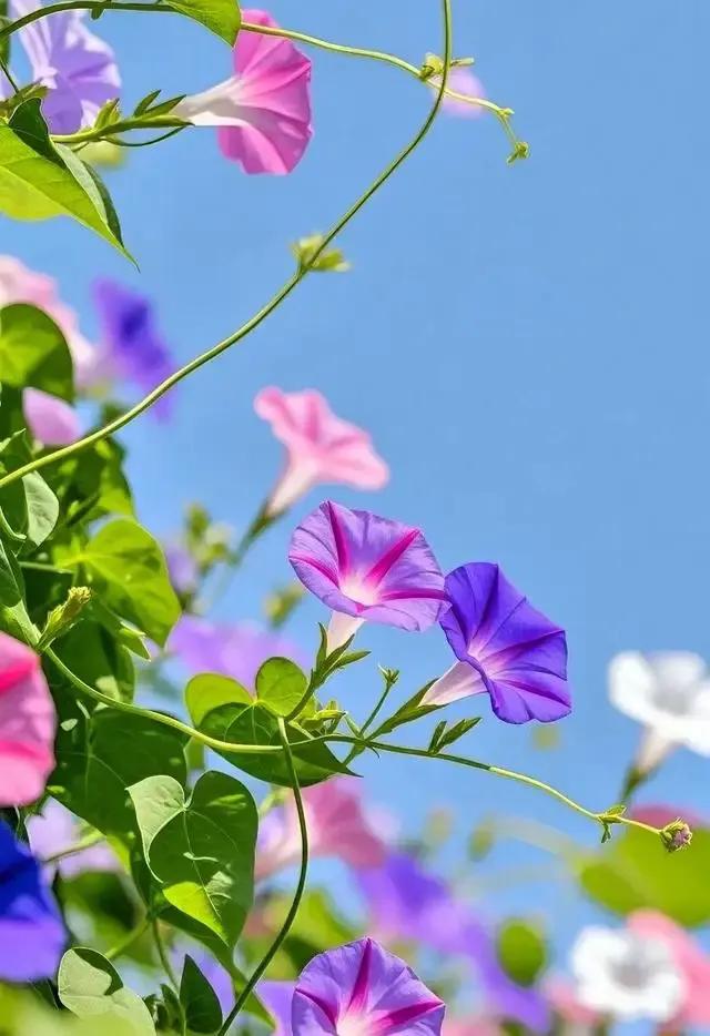 老婆的手机	，到底该不该看？一个女人的回答，让全场男人都沉默了