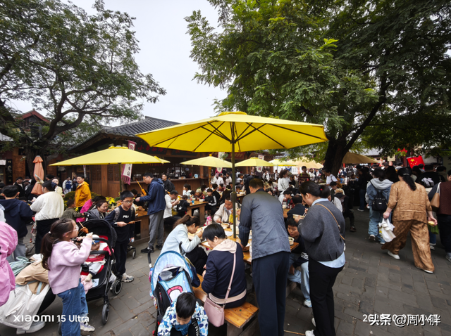 郑国霖雨中游万岁山，明星效应助推2025开封菊花花会文旅热度