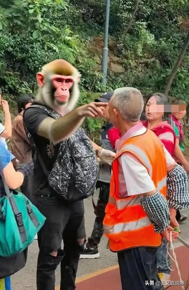 你打猴我打你！小伙威胁景区大爷，身份曝光被骂惨，景区力挺大爷