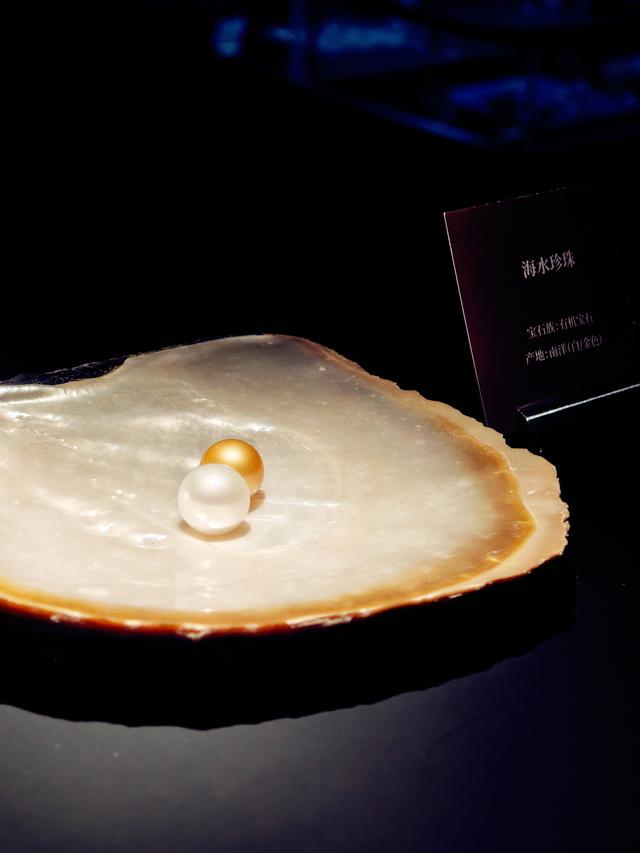 若七珠宝文化艺术博物馆搬家啦