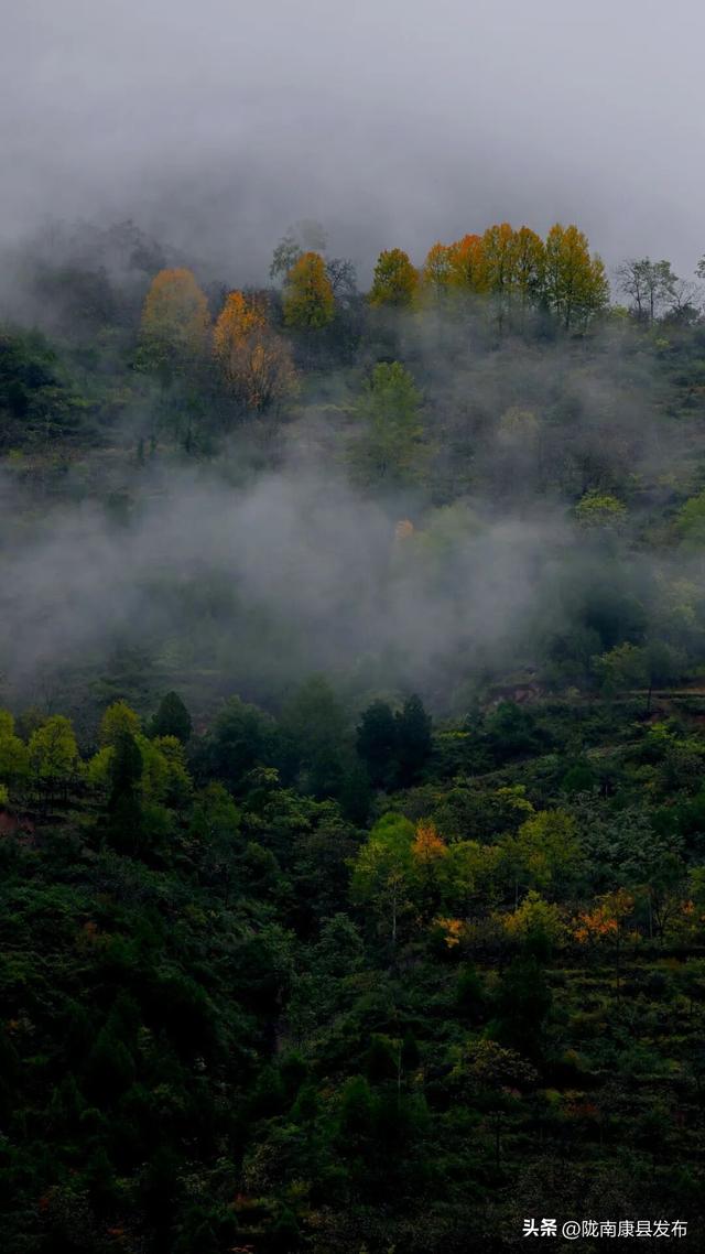 红叶遍山野，秋韵满望关
