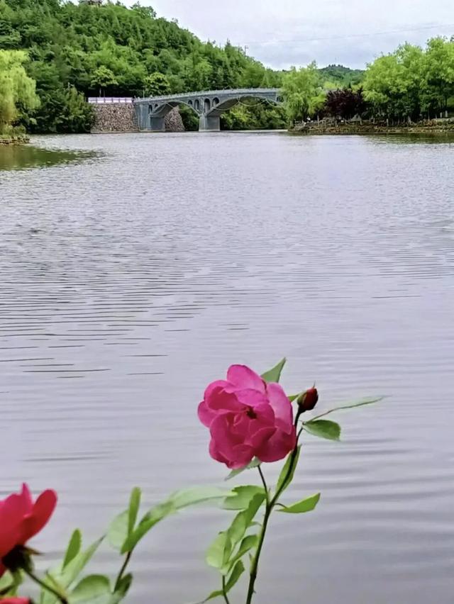 泰湖之美，不止四季！