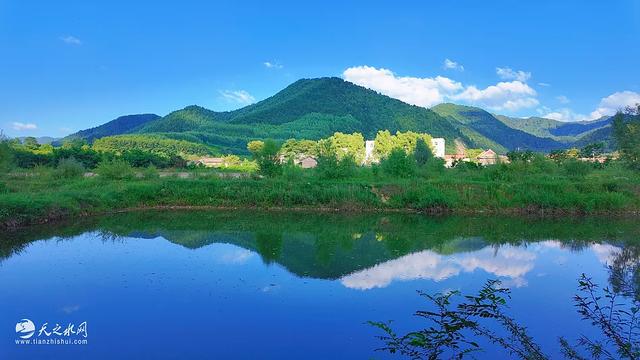 秦州区李子园成为最火爆避暑打卡地,旅游经济迎来新增长点!