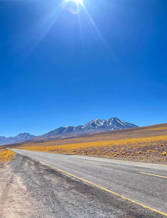 一生一次，2027年出发！41天南极半岛包船登陆，南美4国狂野自驾