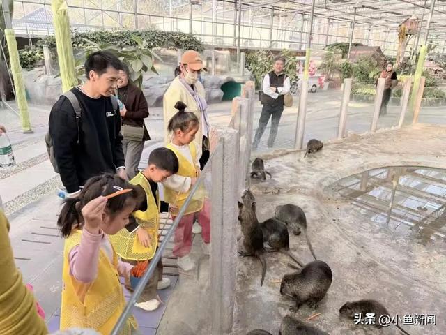 苏州又有景区宣布免费