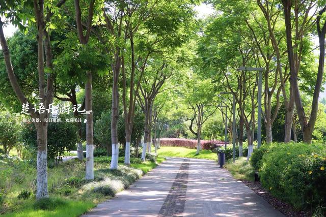 浙江宁波的江畔公园，湿地、溪谷、花海等一应俱全，堪称露营胜地