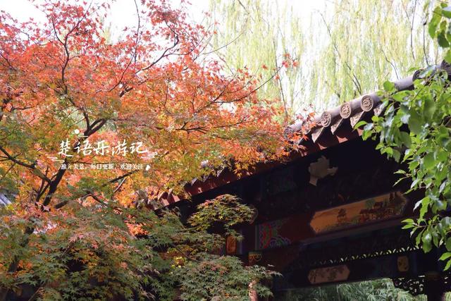 浙江宁波这处风景果然没让人失望，园林风情意境清幽，红枫更优美