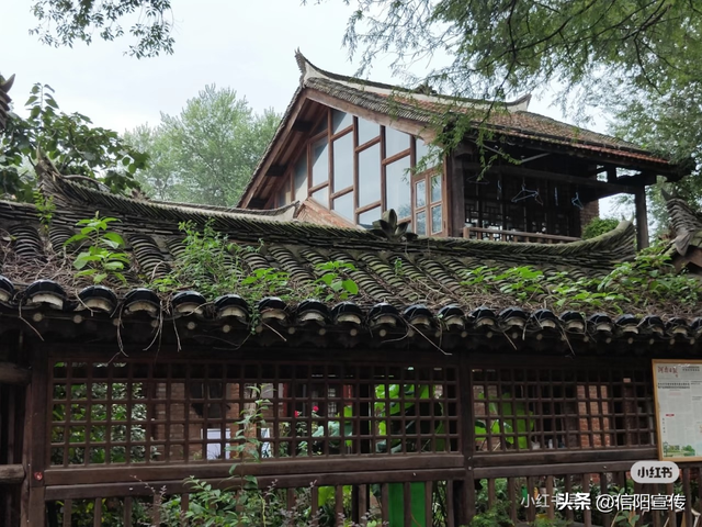 辞家千里，最念是信阳