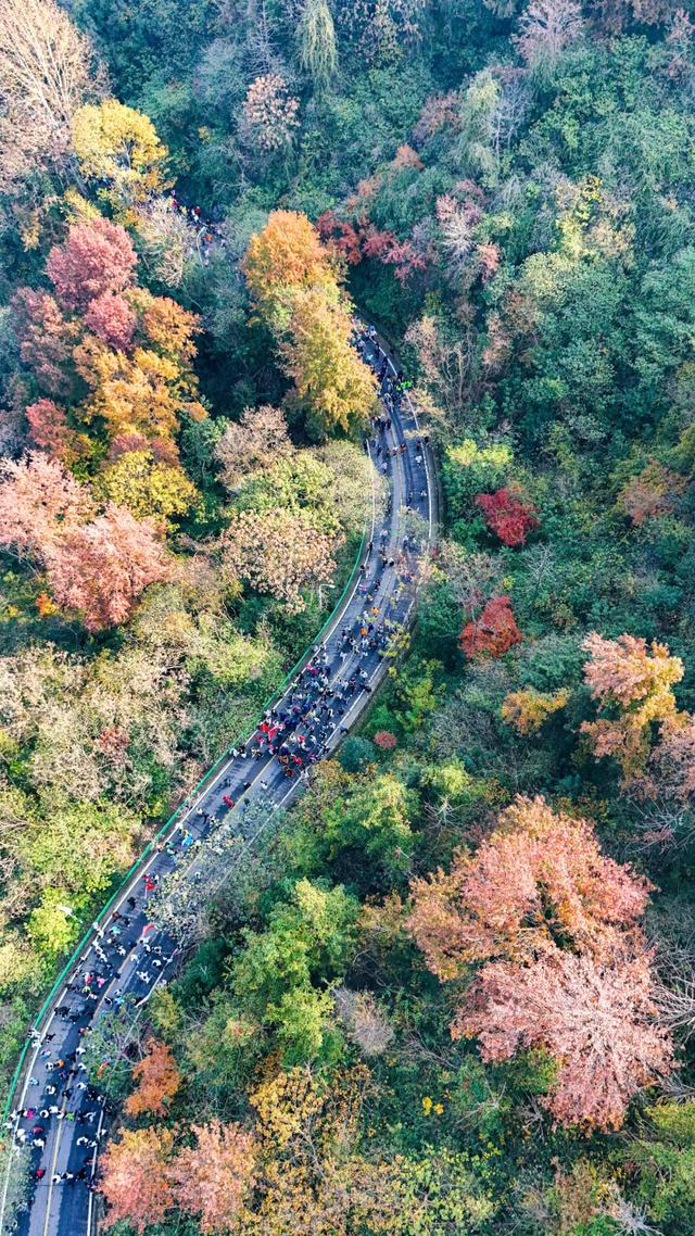 今天,万人齐聚木兰山!