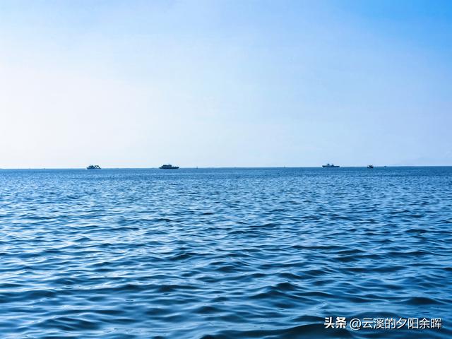 广东阳江海陵岛“渔家乐”体验，章鱼独当一面