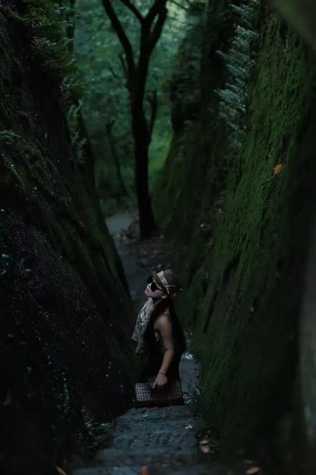 重阳、秋假去哪里？武夷登高待君来！