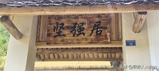 团山村“猪坚强”之旅：精神与文化的激励之行