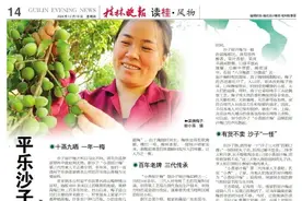 平乐沙子小吃“原汁梅”图片