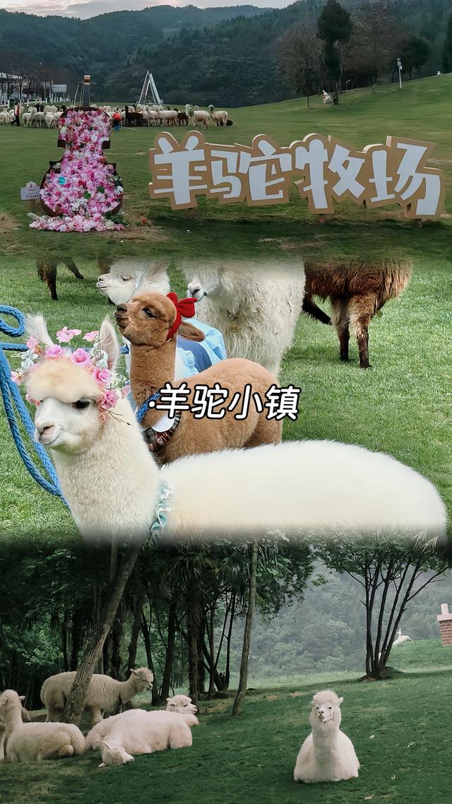 自驾游！跟着《乌蒙深处》打卡毕节