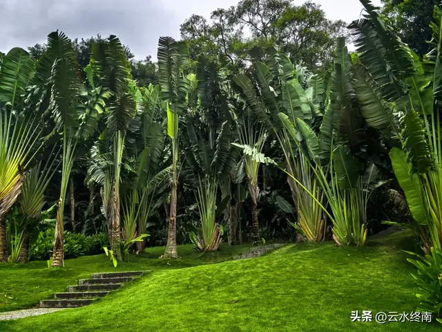 一个五A级植物园，到底藏着哪些值得看的地方，这是最实在的攻略
