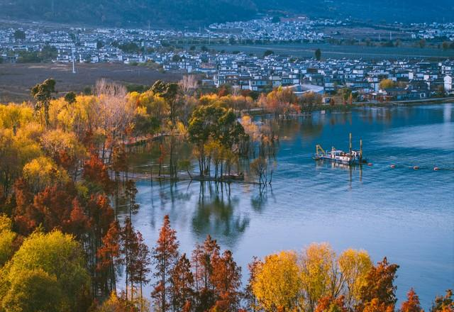 心理学发现：越孝顺的子女，父母反而越偏心？原因很现实。