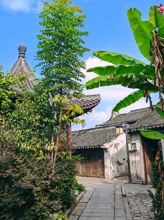 寻找江南的松弛感？这4座小众古镇，藏着秋天最闲适的慢时光。