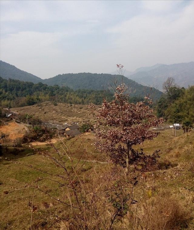 “上午立冬大雪封门，下午立冬单衣过冬”，今年立冬上午还是下午