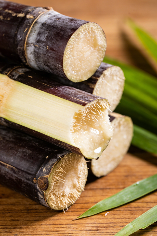 游在鹰潭 | 周末采摘指南！甘蔗清甜、草莓香甜，限定甜蜜等你来【全球学子嘉游赣 奇绝鹰潭逍遥游】