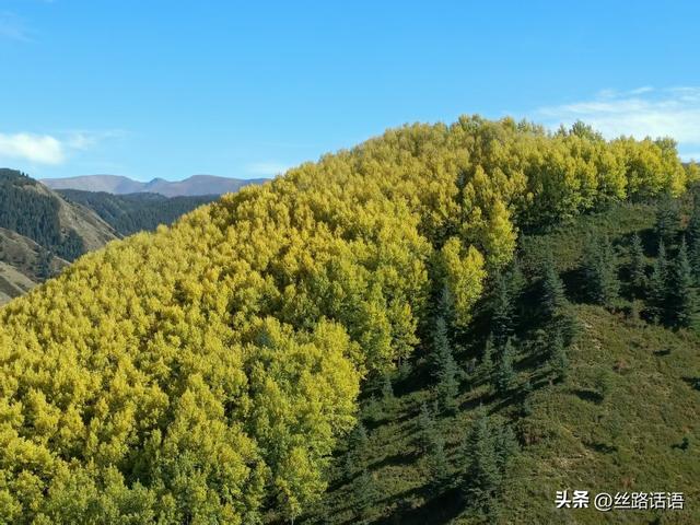 图集丨秋色斑斓 步入绿野仙踪的秘境——焉支山