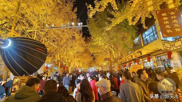 流量为媒 文脉为魂 ——天水文旅从"网红出圈"到"长红深耕"的蝶变密码