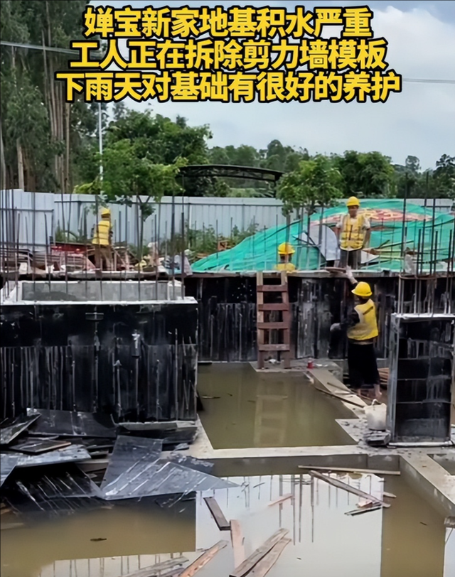 阻工大树已修剪！婵宝家建房全力加速中，网友表示祝贺与期待