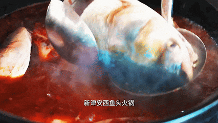 叮！新津喊你来领红包！
