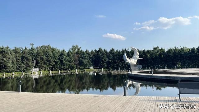 长春城市绿肺！我在净月潭洗了场22度森林浴，还乘了夜光星空缆车