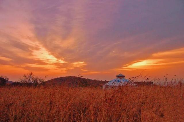 这份“河南冬日色卡”，每一帧都是壁纸
