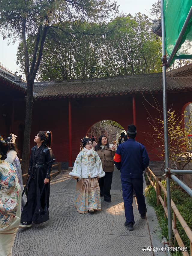 洛阳的美越来越精致