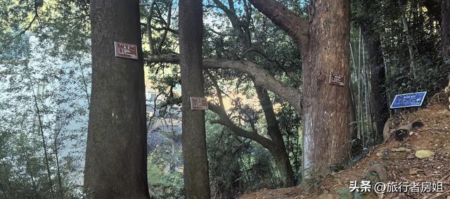 一条古道从浙江到安徽，全程经过三个古村落