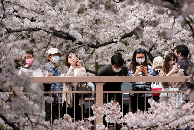 中国游客“用脚投票”，暂缓旅日的连锁反应，到底有多猛烈？