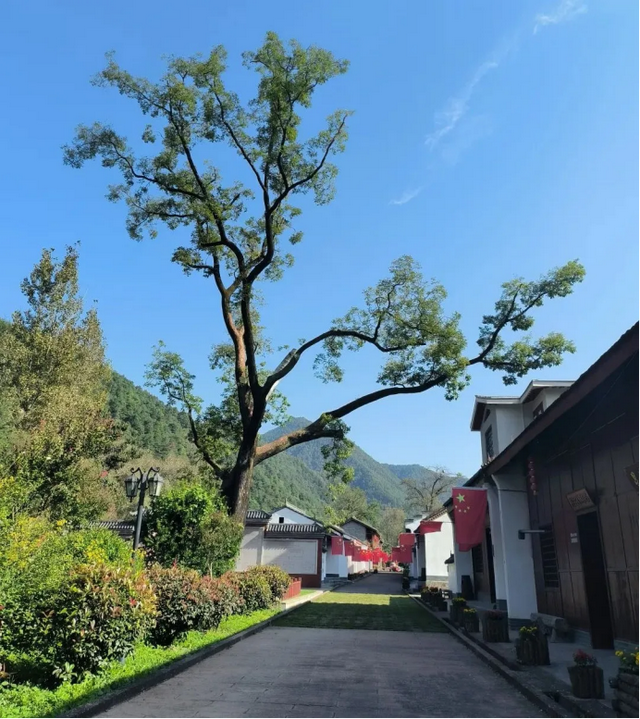 五一走进两当，追寻红色记忆