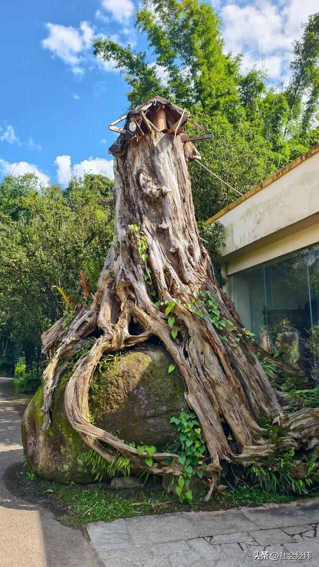【每日一景】云南德宏勐巴娜西珍奇园