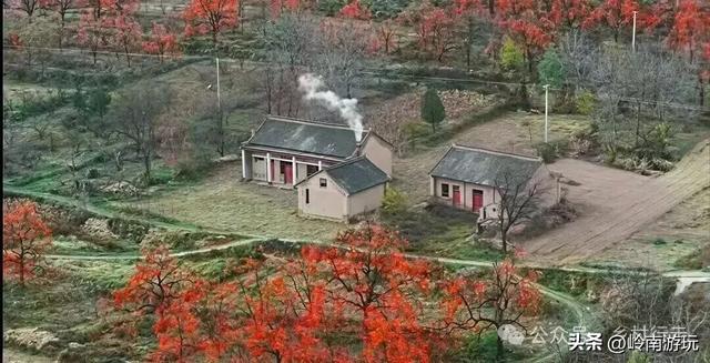 西安周边2小时行程内,免费摘柿子拍照打卡之地推荐!