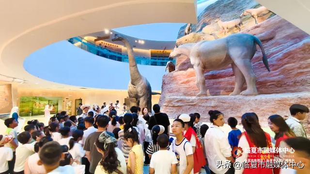 “博”览一夏 “暑”趣无穷丨让地质化石、千年文物“潮”起来！沉浸式体验临夏市文博“剧本杀”