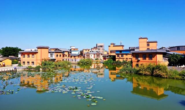 乐享田园·趣游南宁│稻香壮韵寻趣之旅