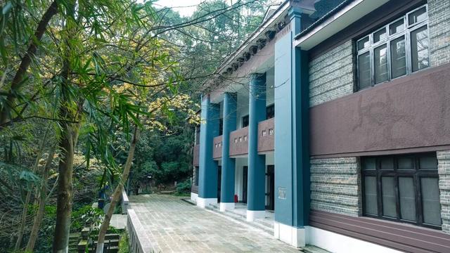 即刻出发！三款新年宝藏玩法，带你趣玩南岸