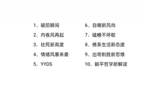 24年以来互联网每年的十大流行语，是否还记得曾经朗朗上口的语句图片