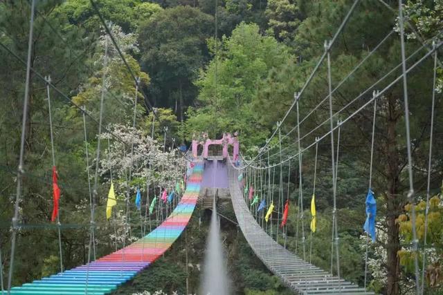 鲸奇世界、虎园探秘……厦龙亲子联程游!出发→