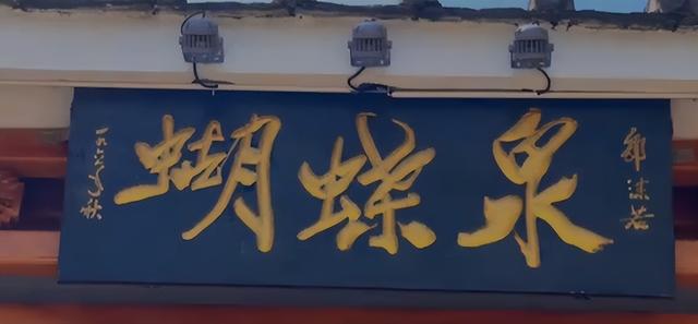 云南楚雄“蝴蝶泉”，90年代风靡全国，如今早已不见踪影