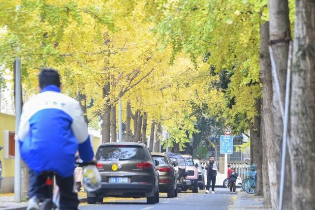 “顶流”来啦！“杏”福浓度超标→