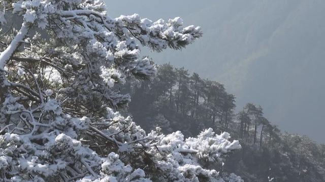 古人诚不欺我！“朝日照积雪 庐山如白云”