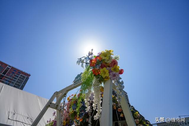 20mm起步的一镜走天下镜头 适马20-200mm F3.5-6.3 DG | C评测