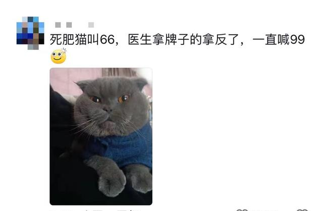 原来宠物在外都有别的名字啊！养宠物的朋友们，你们都知道吗？
