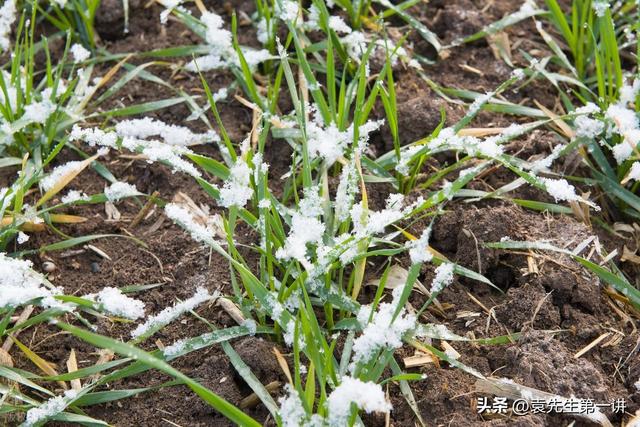 今日霜降，老人说最怕“霜降一日雨”，霜降下雨有啥预兆？早了解