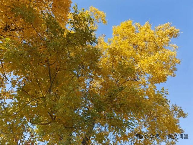 衣锦归乡	，更要携光筑乡