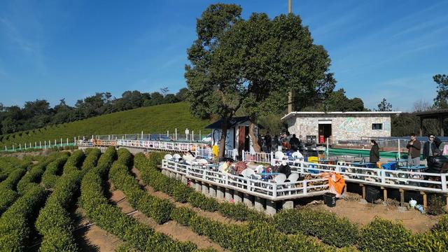 从“网红”到“长红” ，湖州文旅何以可能？