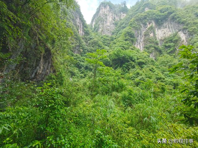 旧时古道，如今人迹罕至；峡谷中间，有一个美丽野瀑布